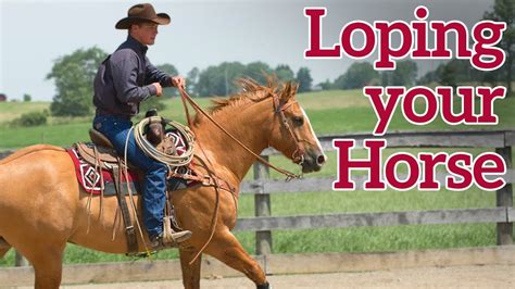 what is loping a horse